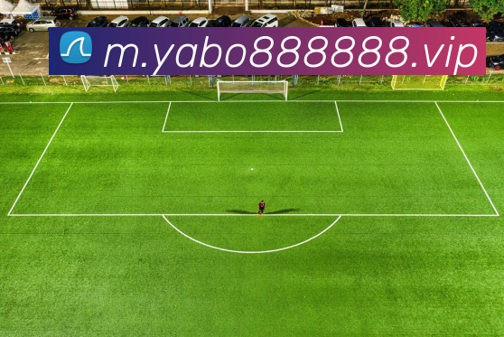 yabo亚博APP 封面图